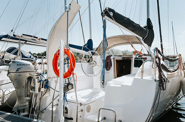 Hornet 29