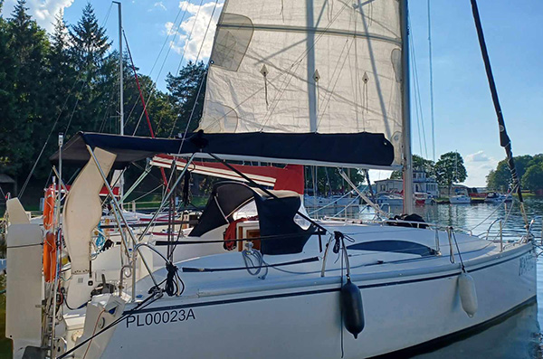 Hornet 29